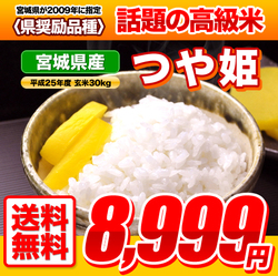 お得な宮城県のつや姫３０ｋｇの価格の比較や通販はココで おいしいお米の通販 検索 価格 通販検証はココ